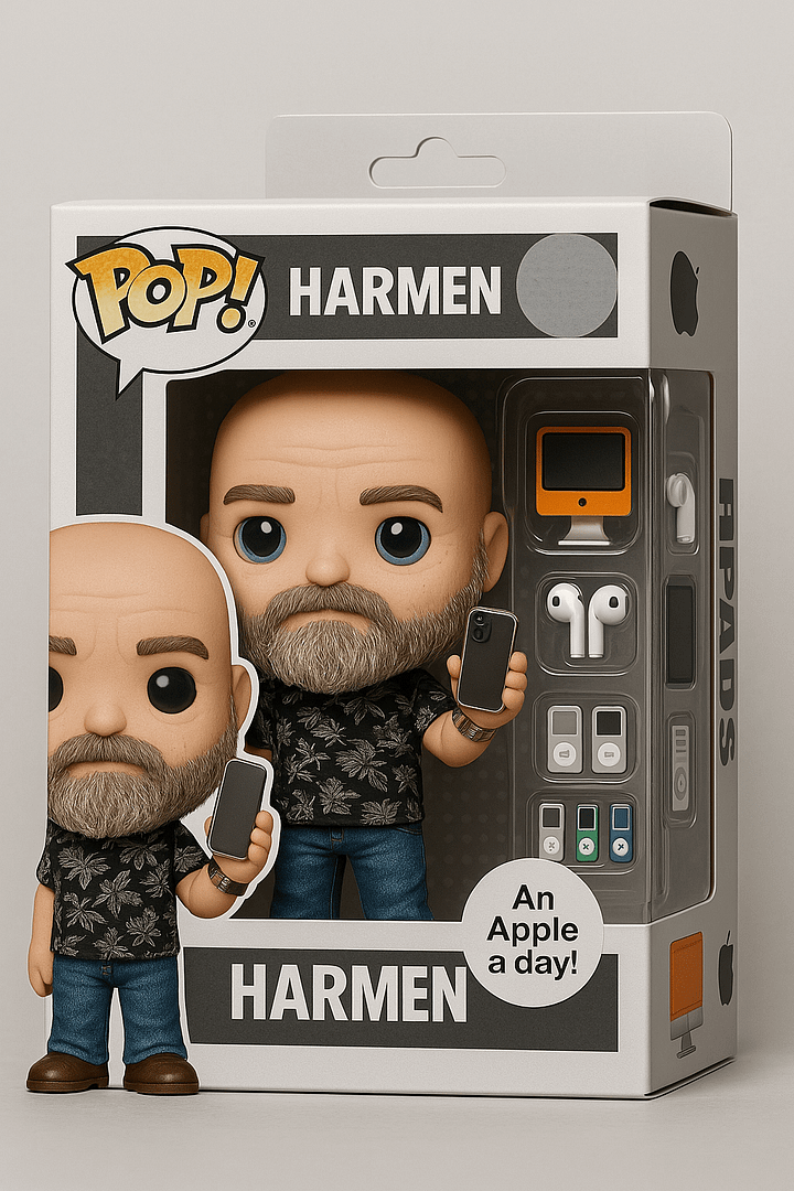 Harmen van Twillert - Macwize